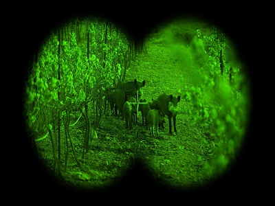 image see through goggles