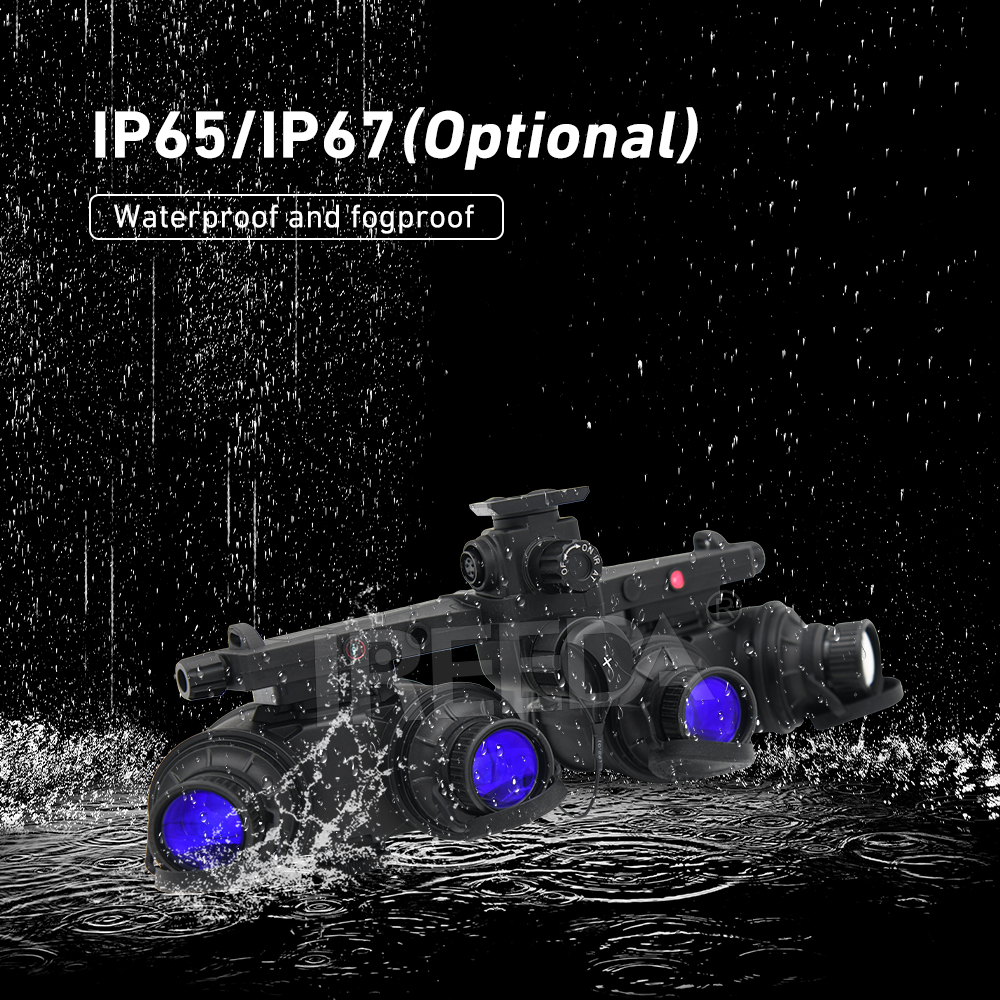 Differences Between PVS18 and PVS31