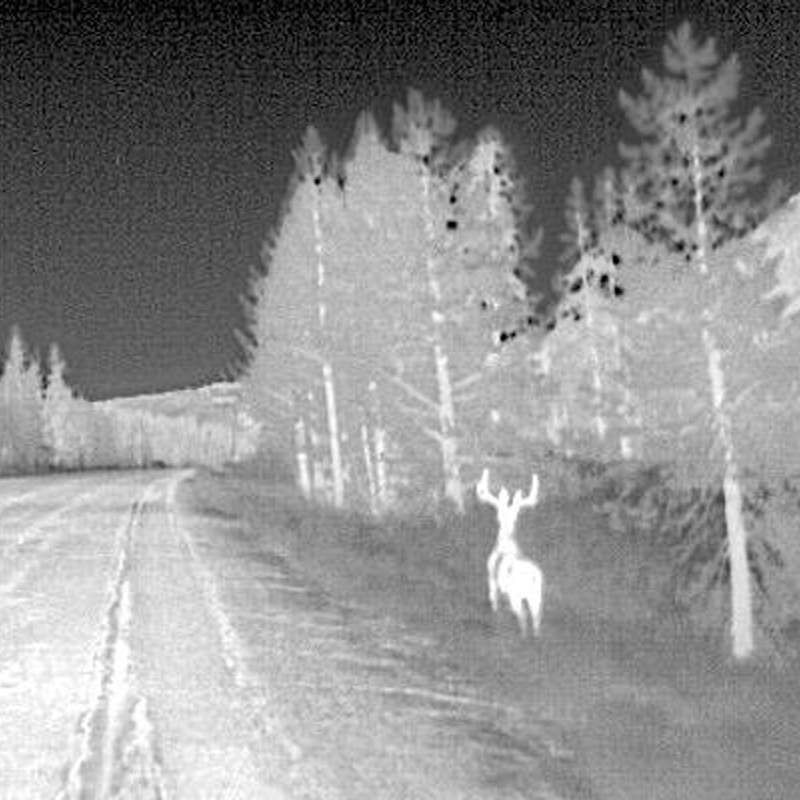 thermal car camera
