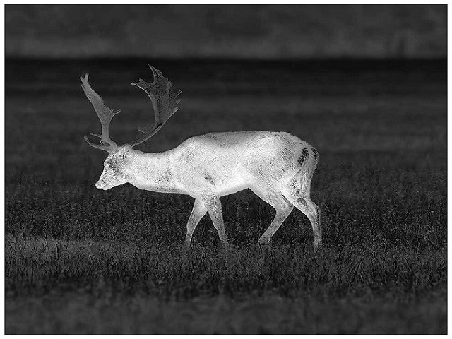 Thermal Imaging Pseudo-Color
