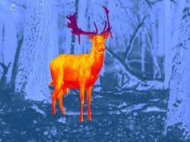 Thermal Imaging Pseudo-Color