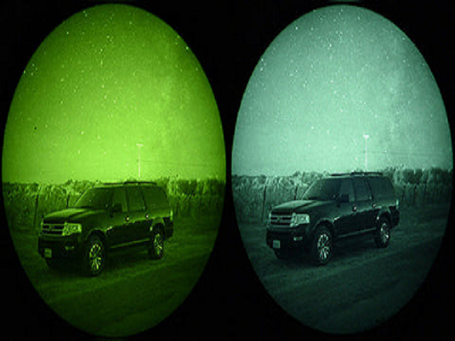 Green Phosphor and White Phosphor 