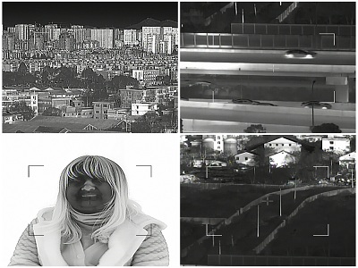 thermal image of different target