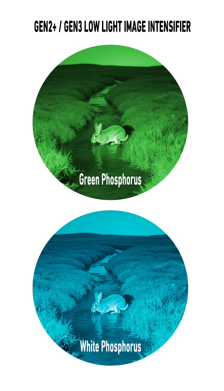 IREEDA white green phosphor pvs31